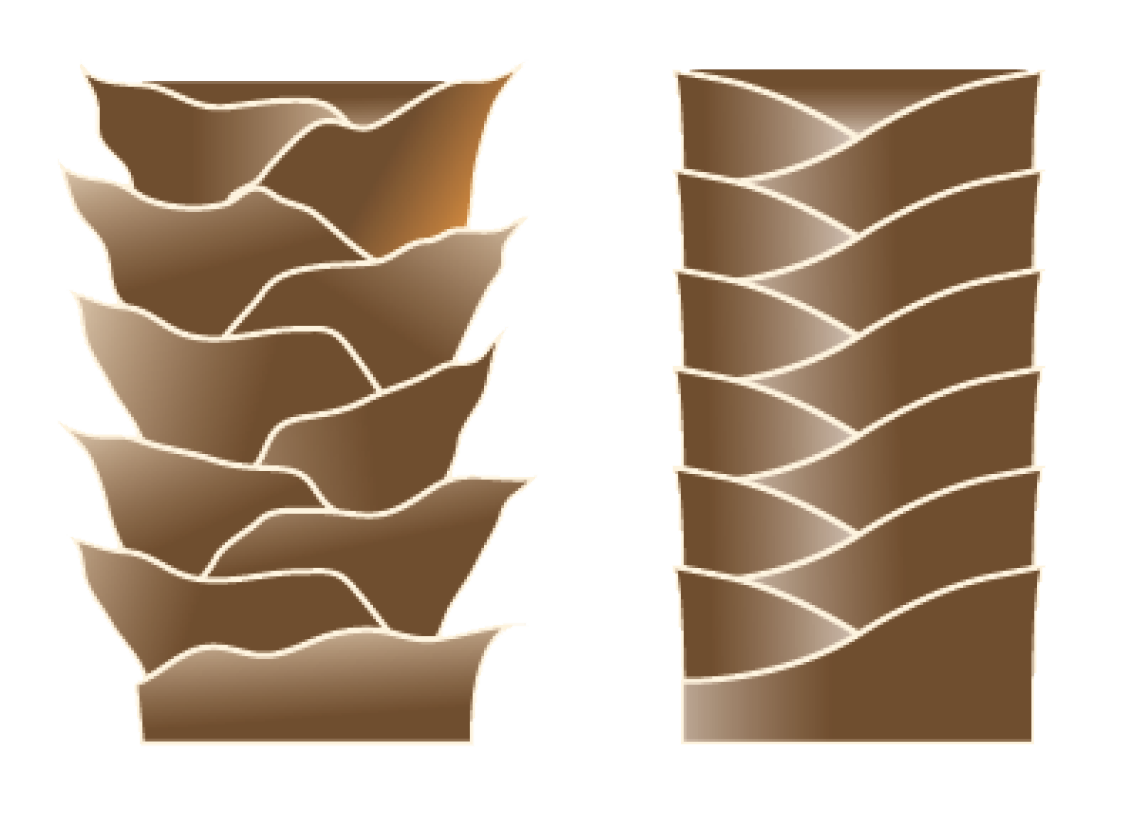 Prodesign Damaged Hair and Healed Hair Before and After Illustration