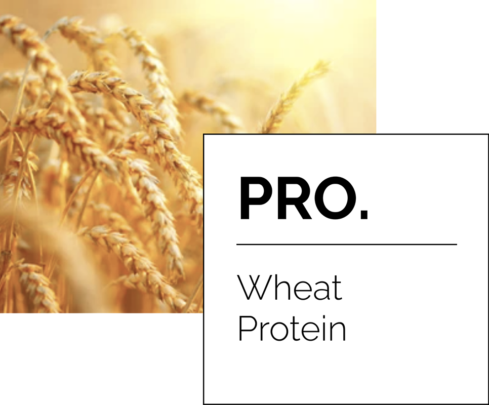 Pro. Wheat Protein. Prodesign Hair Care. Profacil Complex.